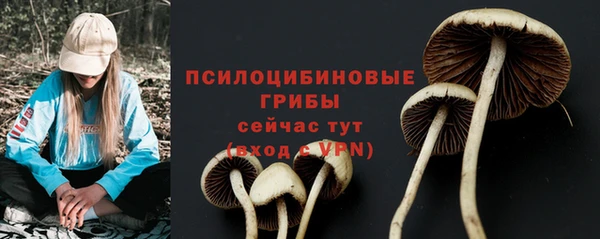 прущий лед Абдулино